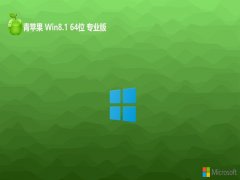 ƻϵͳwin8.1⼤64λȫܰv2025.01