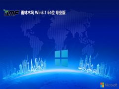 ľ⼤win8.1 64λ羺Ϸv2025.01