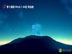 ܲ԰win8.1 64λ๦ܰv2025.01