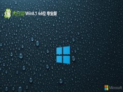 ײ64λwin8.1ͨv2025.01