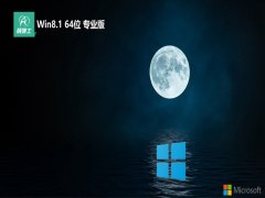 ʿwin8.1ϻ64λv2025.01