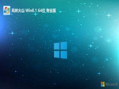 ֻɽwin8.164λƼv2025.01